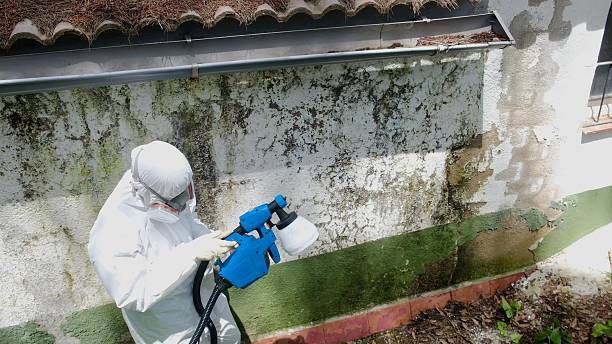 Top rated local Mold Remediation specialists in Washington, GA